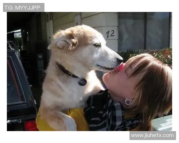 韩国足球界的狗狗明星有哪些值得关注的球员与他们的精彩表现